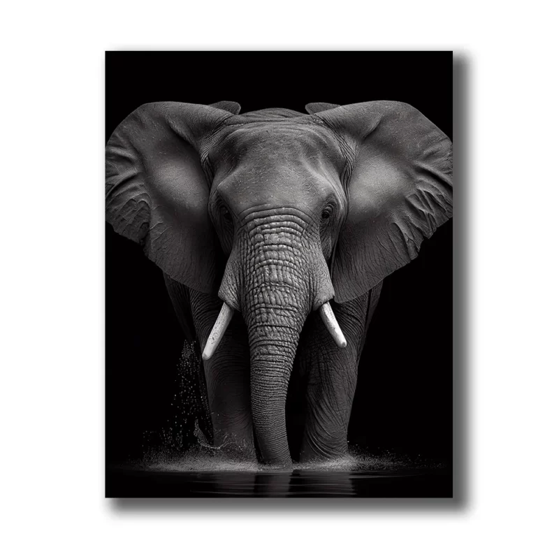 canva-elephant-noir-et-blanc