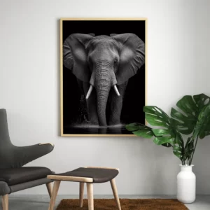tableau-elephant-noir-et-blanc