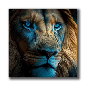 lion aux yeux bleus