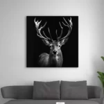 tableau de cerf noir et blanc