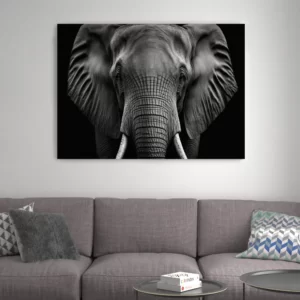 tableau tete elephant