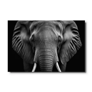 toile tete elephant