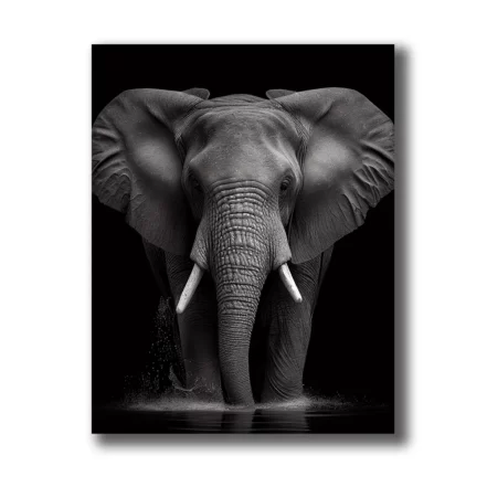 tableaux elephants